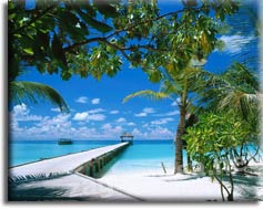Cliffs Ocean Resort � ������������� ���������� ������� ����� � 2011 ����