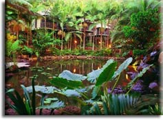 ����� ����������� �����: Daintree Eco Lodge & Spa