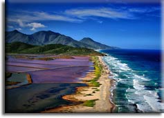 Las Salinas, �����, �������