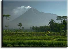 Merapi, ���������