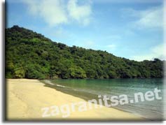 ������: ��� - ������� �������������   