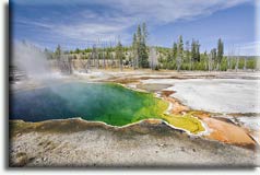 Yellowstone, ���� ��������, ���
